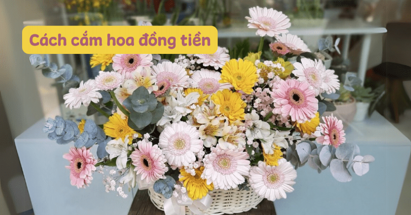 Dụng cụ cần thiết để cắm hoa lan cành đẹp tinh tế, bao gồm kéo, bình, xốp, và cành lan tươi